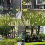 4 BHK Blue Water Residences BSL Group Ext 7