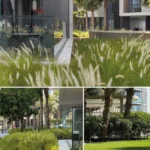 3BHK Apartment at Bluewaters Residences, Bluewaters Island, Dubai BSL Group Ext 6